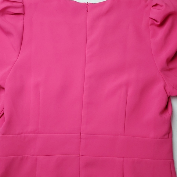 NWT Jade puff sleeve, ruffle hem dress - Picture 6 of 11